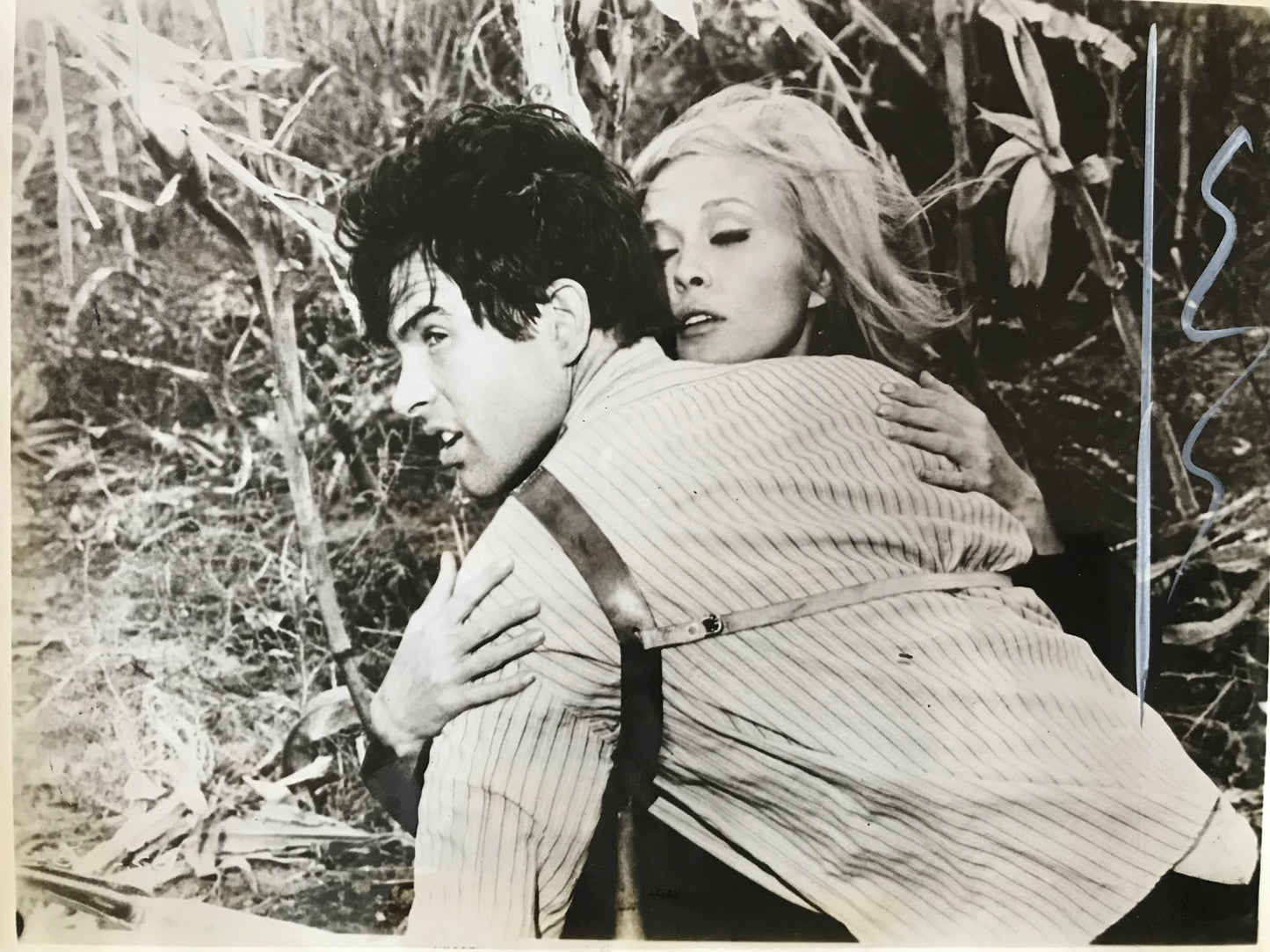 Bonnie and Clyde, Warren Beatty et Faye Dunaway
