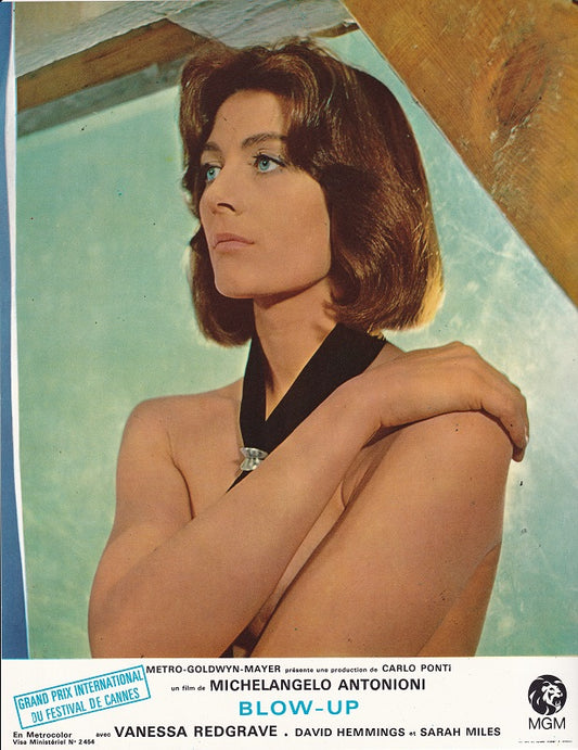 Lobby card Blow-up, Antonioni, Vanessa Redgrave, 1966 #5